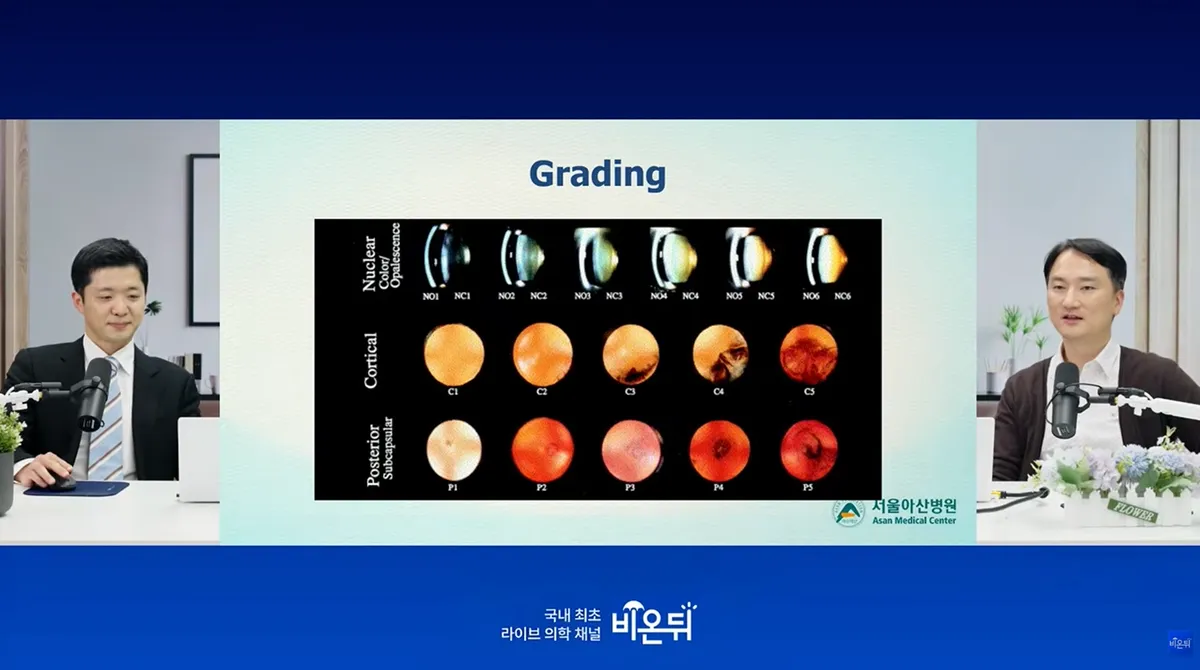 비온뒤 1 비온뒤 1